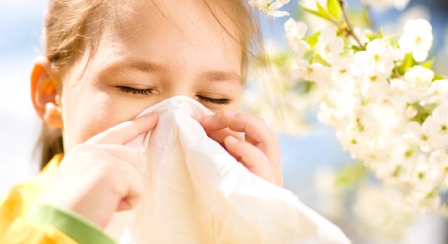 Allergy - Asthma - Eczema - -Kinderdoctor Paediatrics